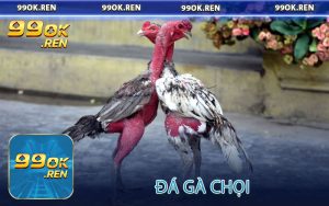 Đá gà chọi